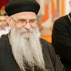 (2020) Fraction of Covenant Thursday - Fr. Shenouda Ghattas