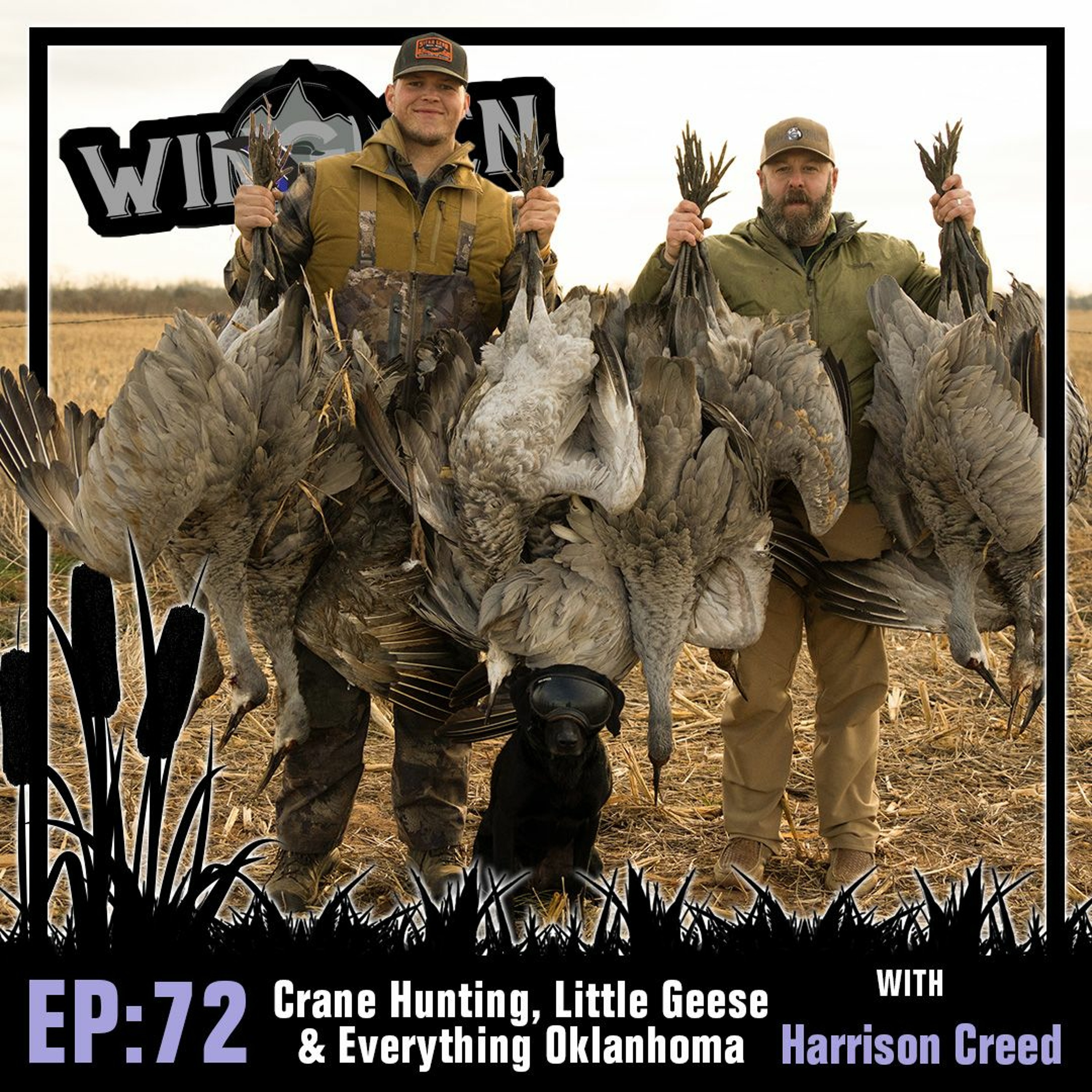 Wingmen Podcast Episode 72: Crane Hunting, Little Geese & Everything Oklahoma with Harrison Creed