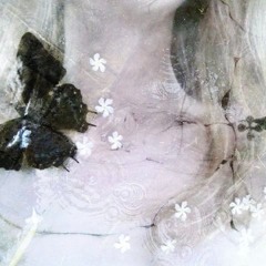 outta luck w/ b1ooms