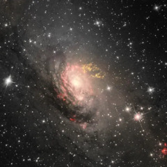 Circinus-Galaxie