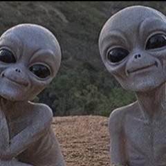 Lil Kashin Mane ~ HumanLawDontTruztNoone #ACM