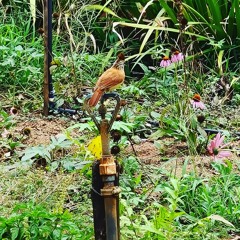07.03.2022 - Cap. X - Bem Aventurados os Misericordiosos - O Sacrifício Mais Agradável a Deus (4)
