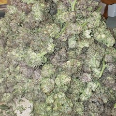 FAMOUS - $TAX (Prod. Irad)