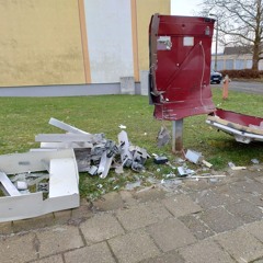 Verstrahlte Bunkermukke