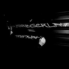 CÓDIGO 369 EP (PASAJERA x BARBIGERLA).