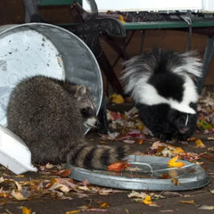 love trash (prod. Aki)