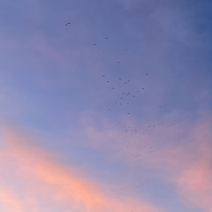 Une heure de libre 💿🎚️🎚️💿