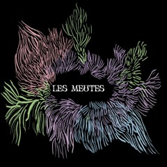 LES MEUTES