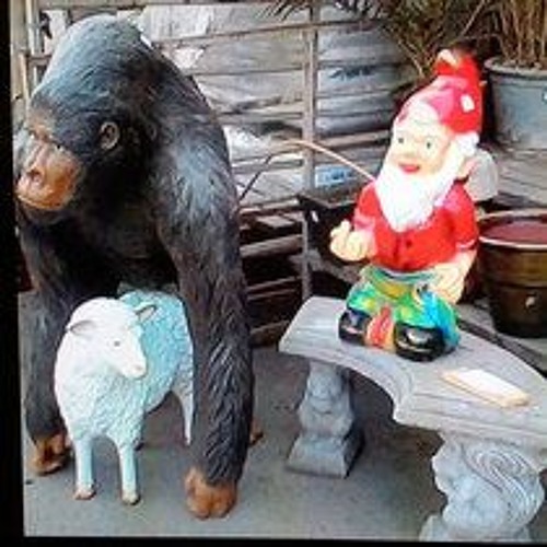 ARE BLACK SHEEP JUST BABY GORlLLAS IN DRAG