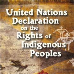 Indigenous Peoples, human health, planetary and territorial health and climate change