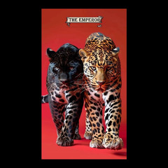 EASY TIGER