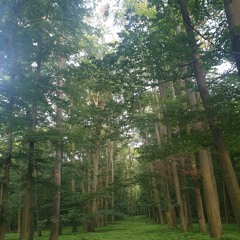 One to rule them all