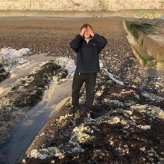 Main Courses w/ Harry Zwaig - March 2022