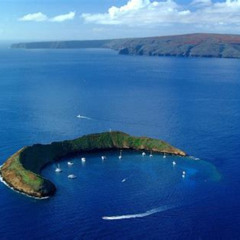 Best Molokini And Turtle Town Snorkeling Adventure Aboard The Malolo Prices Reviews