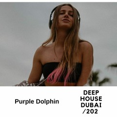Purple Dolphin - DHD 202 (January 2024)