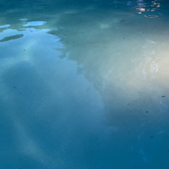 From The Depths