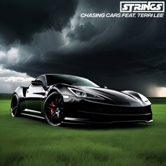 CHASING CARS-TerriLee