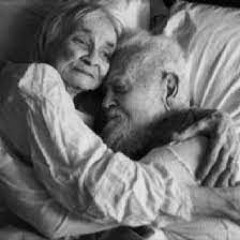 Old Lovers. ( Steve Killingbeck )