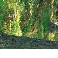 Las Palmas - Missbruk Beivras (LammäGG busar Remix)