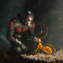 Rap de las hormigas Experiment (Demo)