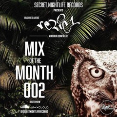 Secret Nightlife Records Mix Of The Month 002 Los Angeles 4/11/2022