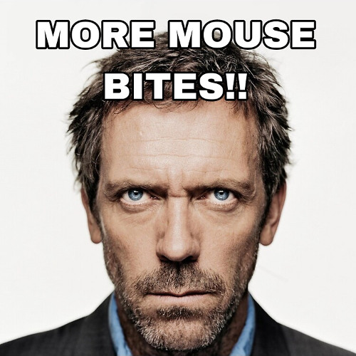 MORE MOUSE BITES