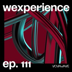 WExperience #111