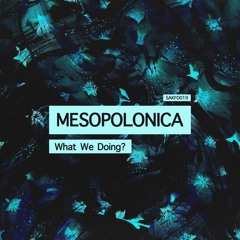 MESOPOLONICA - WHAT WE DOING? (FREE DOWNLOAD)