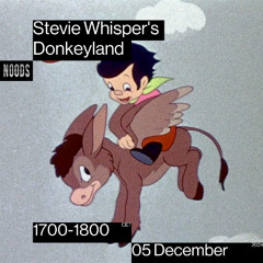 Stevie Whisper's Donkeyland #3 / 05.12.2024