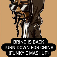 Bring it Back X Turn down for China (FUNKYE MASHUP)
