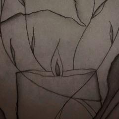 01 Meraki Open Decks From 13 Apr 2024