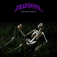 trazodone (feat. 6host)