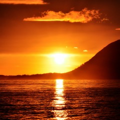 Sunset- Nu-Disco/Deep House