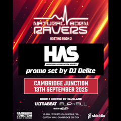 DJ Delite - NBR HAS Promo Set