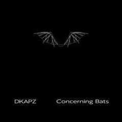 Premiere: DKAPZ - Echolocation Strictly Prohibited in this Area