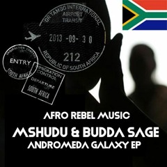 Mshudu & Budda Sage - Venom