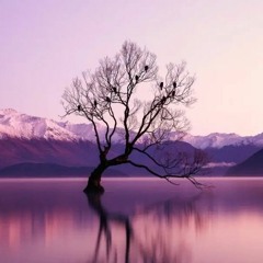 Ethereal Dreams