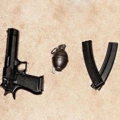 love my gun