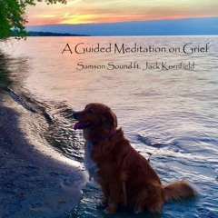 Meditation on Grief ft. Jack Kornfield