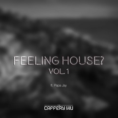 Feeling House? Vol. 1