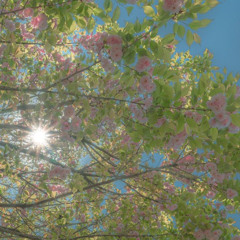 how i get down (prod. navey)