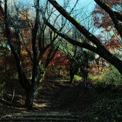 Log_20251128（demo）