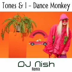 Tones & I - Dance Monkey (DJ Nish Moombah Hype Edit) Free Download