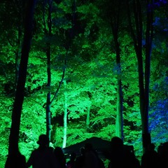 stargazing (electric guitar hybrid set)