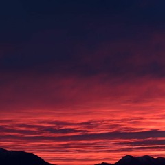 set DeepHouse_2024| pitt