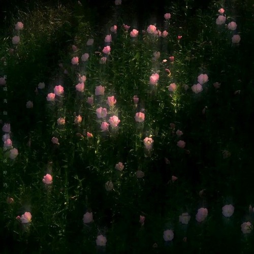 Sau này bên ấy mong anh sống tốt em muốn thấy anh yên bình-Slowed