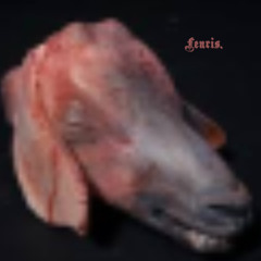 Tanngrisnir och Tanngnjóstr.