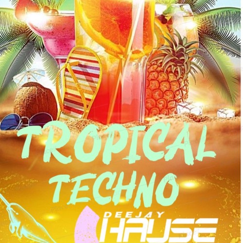 Tecno Dj Hause  Tropical Techno (1)