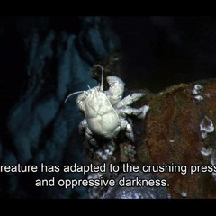 Deep Dive
