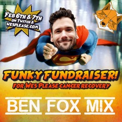 Ben Fox - Wes Please Fundraiser Mix (Fractal Vibes)